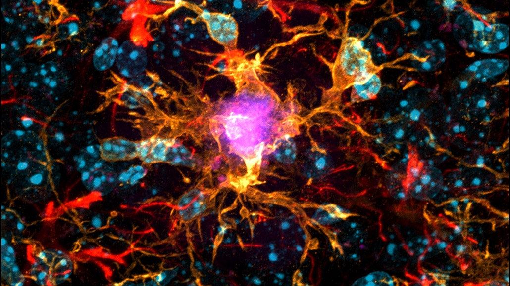 Gallery | Chemical Biology and Molecular Medicine Laboratory - Dan Yang ...