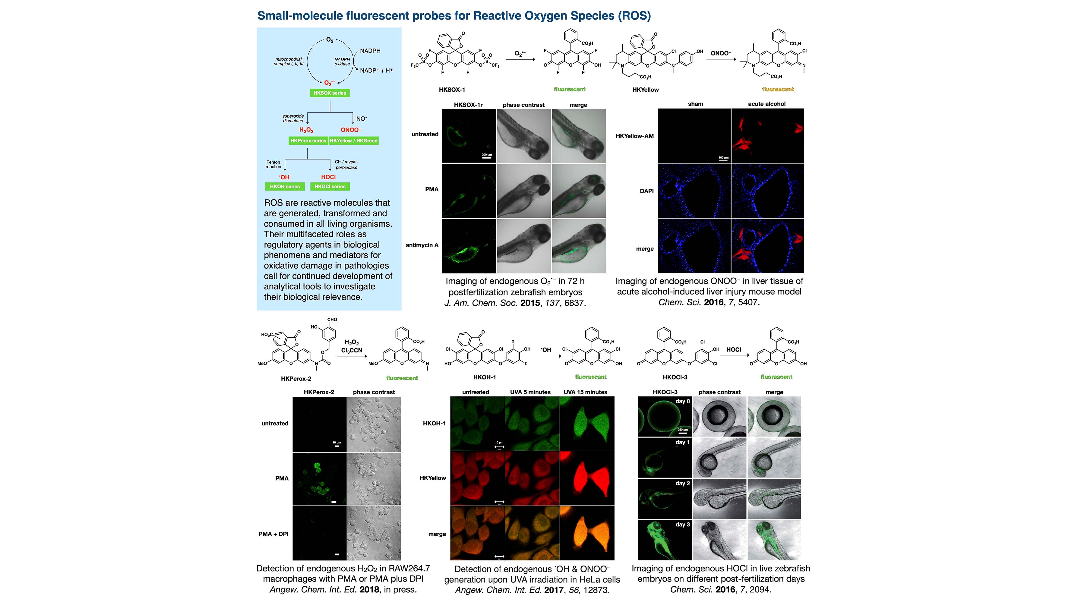 Lab Home | Chemical Biology and Molecular Medicine Laboratory