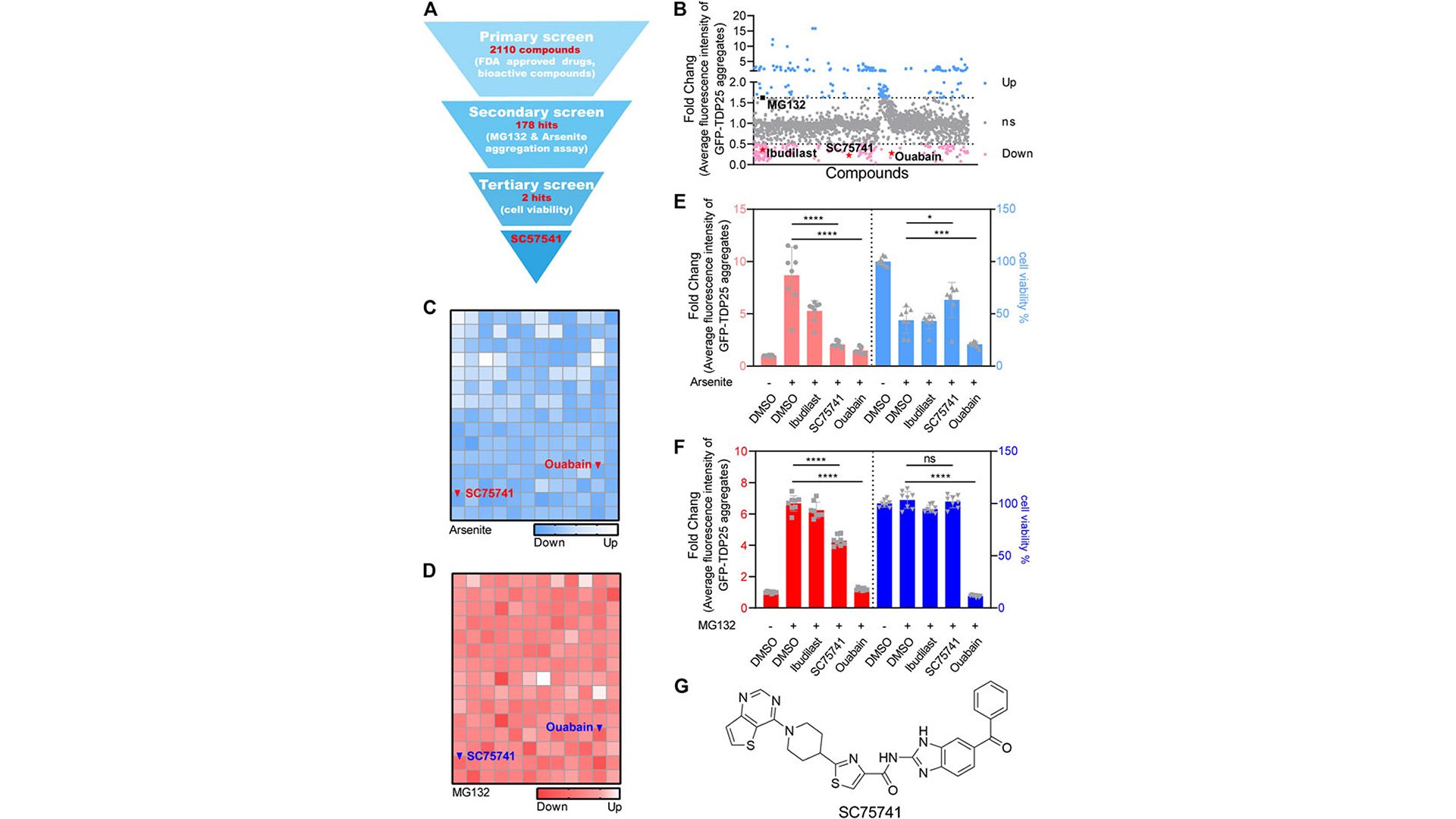 Publications | Stem Cell Repopulation and Tissue Regeneration ...