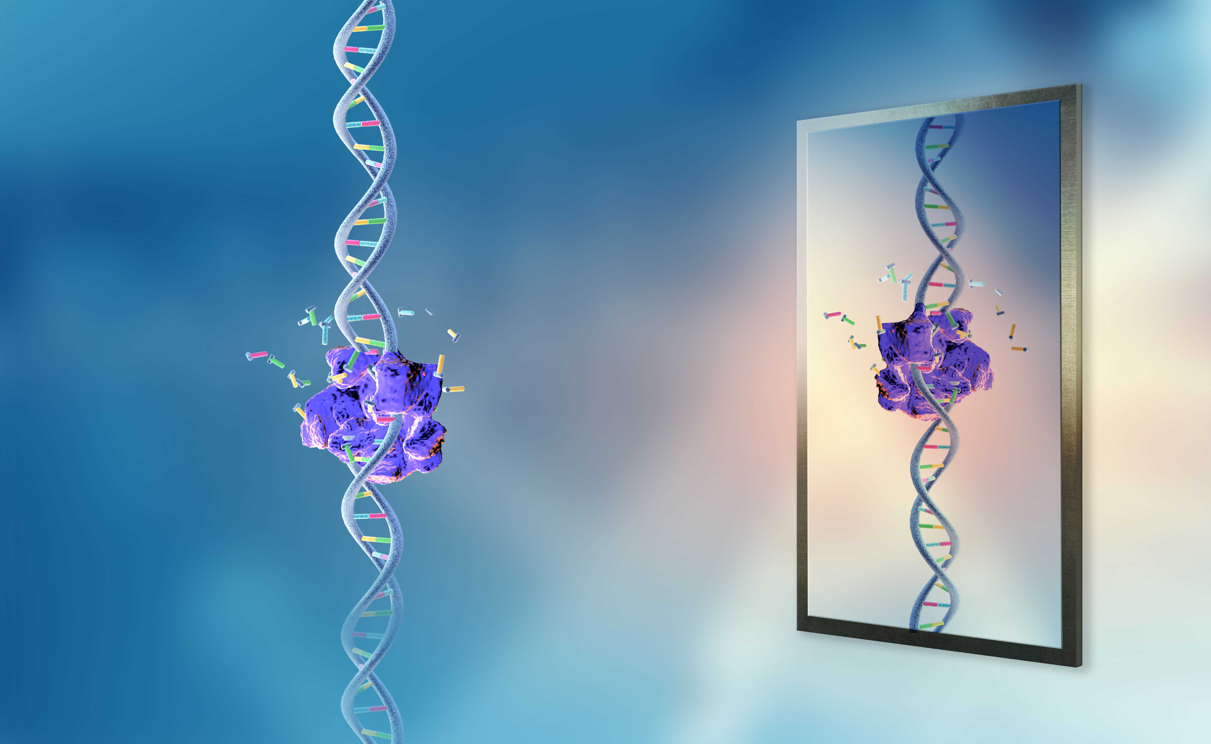 Resources | Mirror-Image Molecular Biology Laboratory - Ting Zhu, Ph.D.
