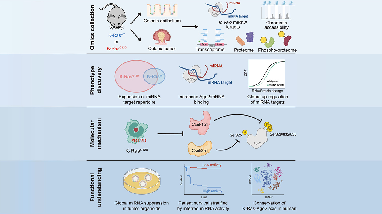 Publications | Genome Engineering and Functional Genomics Laboratory ...