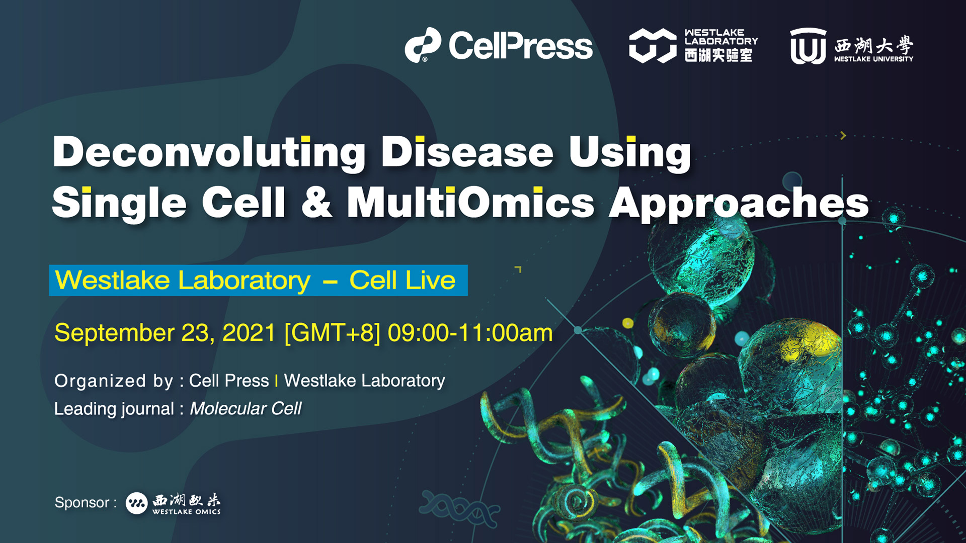 Deconvoluting Disease Using Single Cell & Multiomics Approaches ...