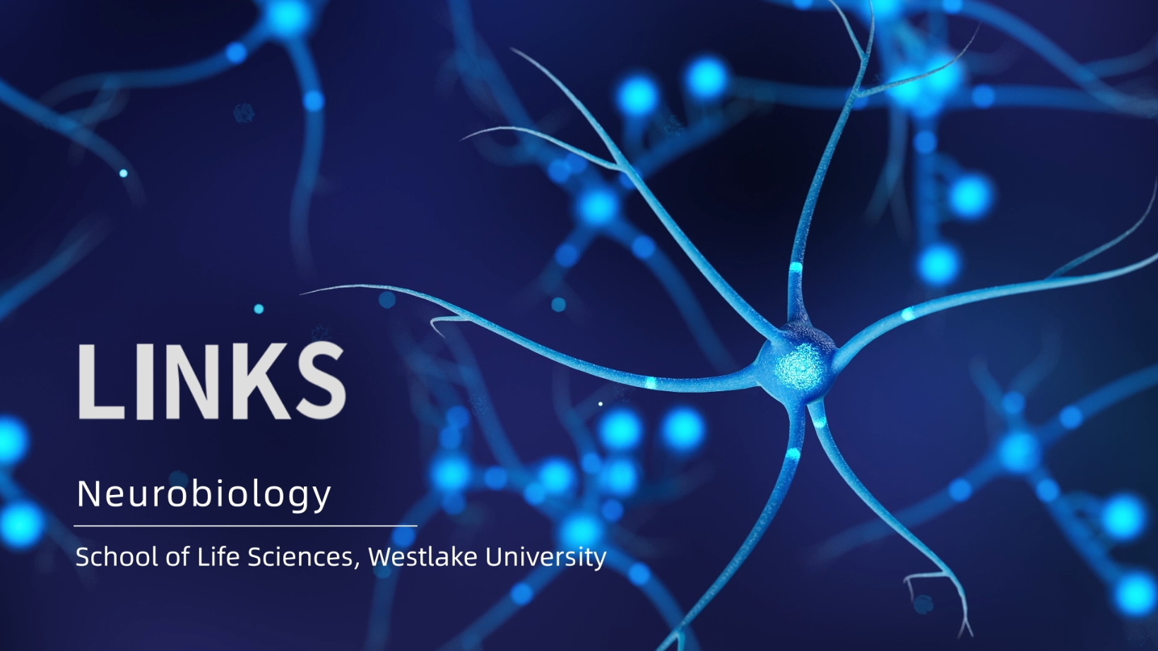 Welcome | School of Life Sciences, Westlake University