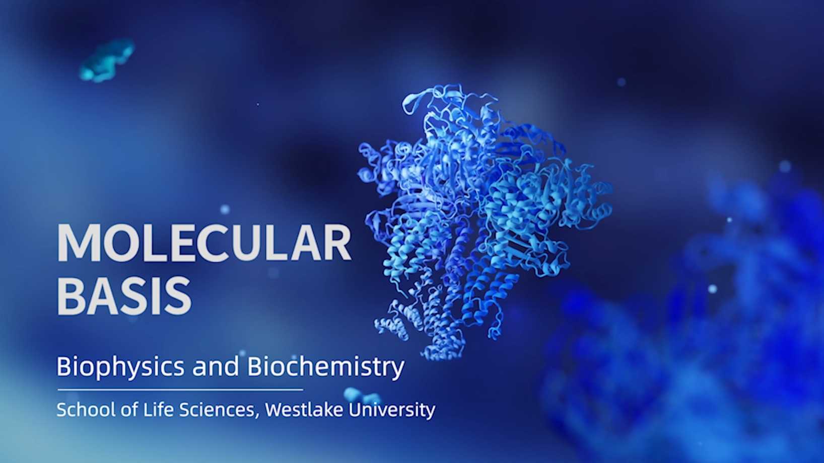 Welcome | School of Life Sciences, Westlake University