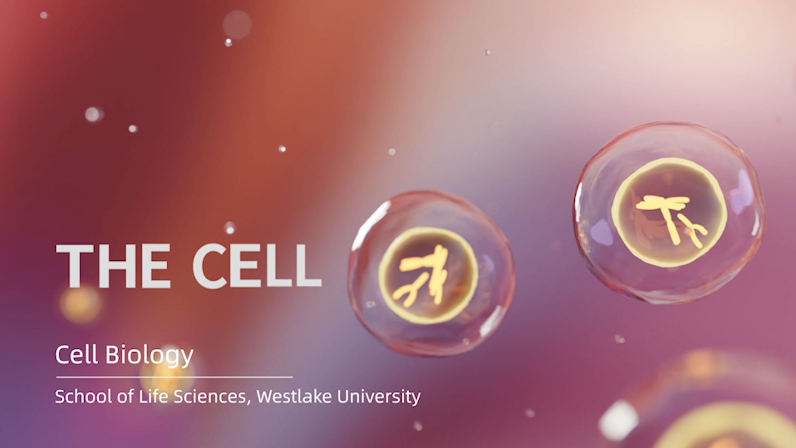 Welcome | School of Life Sciences, Westlake University