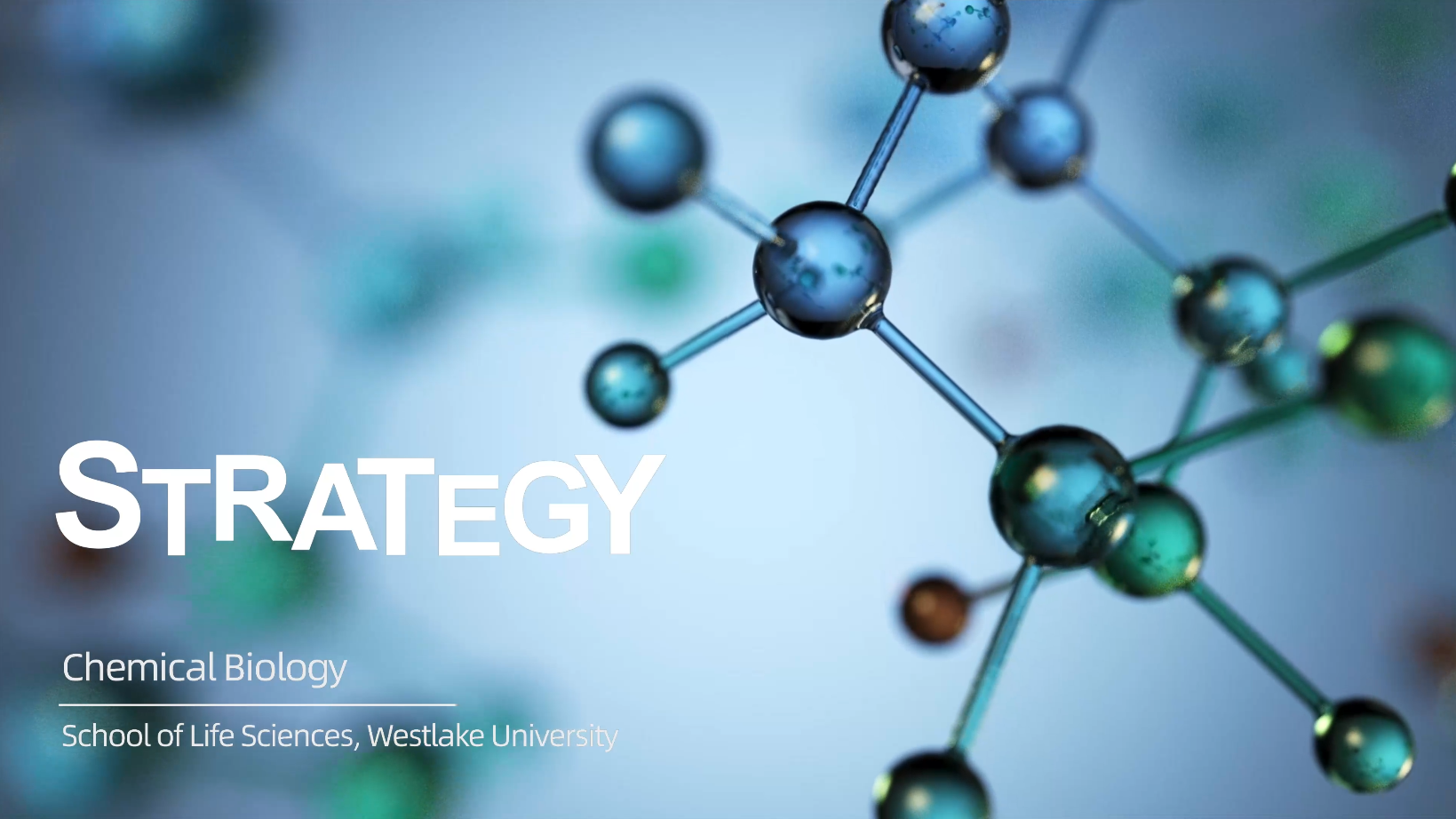 Programs | School of Life Sciences, Westlake University